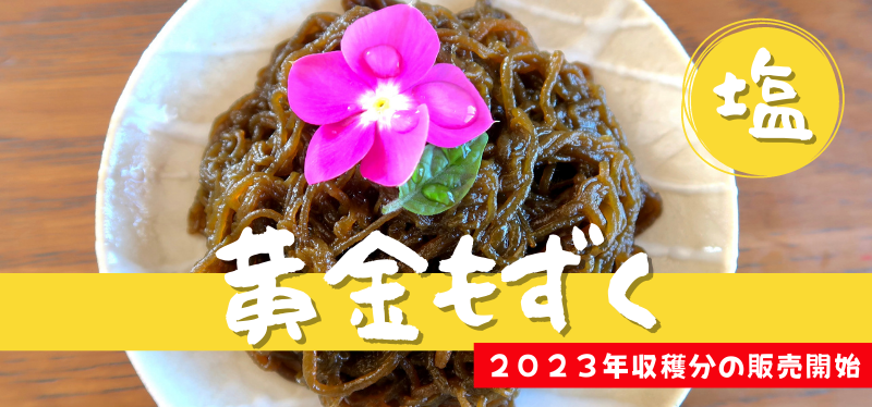 《送料無料》黄金もずく（塩） 1,980円
