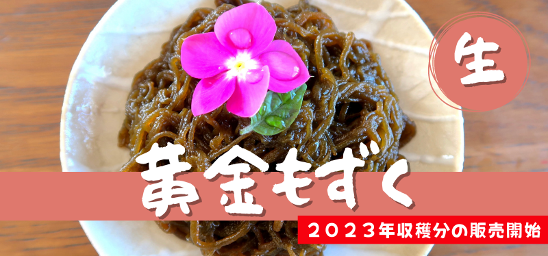 《送料無料》黄金もずく（生） 2,880円