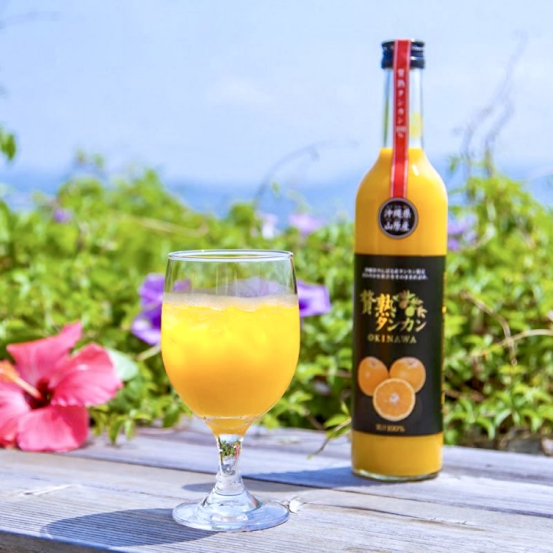 《送料無料》島のギフト coral（コーラル）